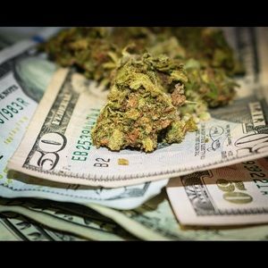 Meet your Posher, Fernando